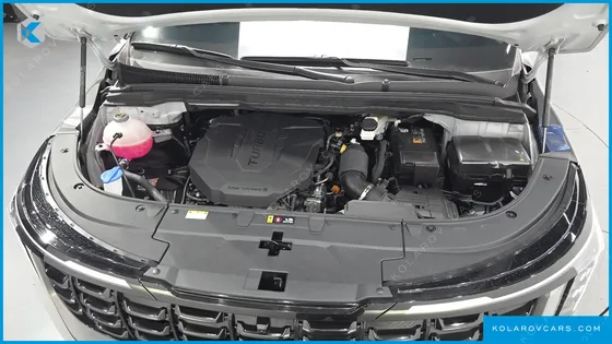 KIA CARNIVAL 9-SEATER GRAVITY