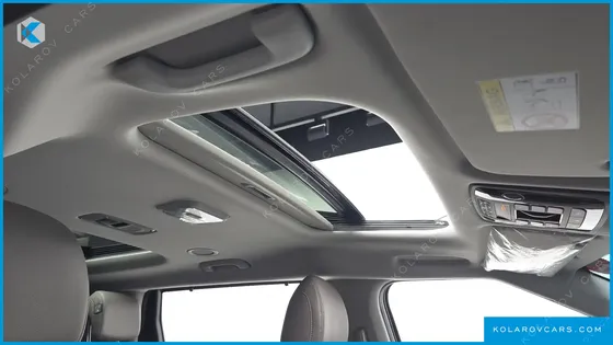 KIA CARNIVAL 9-SEATER GRAVITY