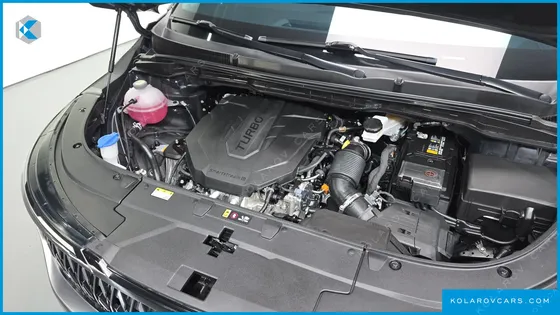 KIA CARNIVAL 9-SEATER SIGNATURE