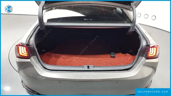 LEXUS ES LUXURY