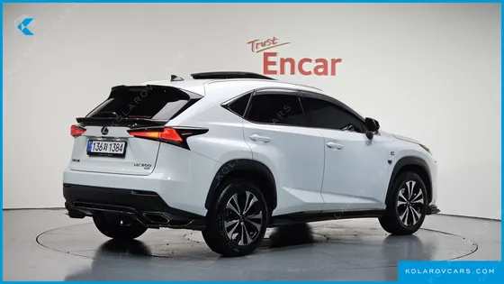 LEXUS NX F-SPORT