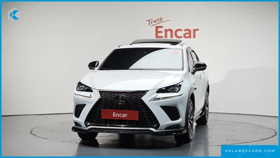 LEXUS NX F-SPORT