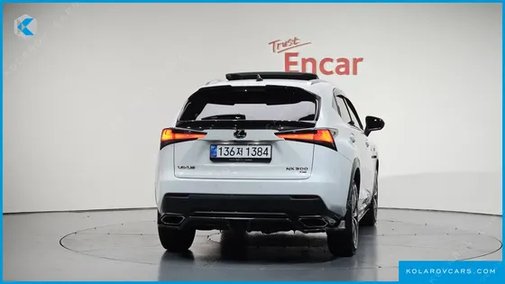 LEXUS NX F-SPORT