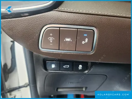 HYUNDAI GRANDEUR 3.0 LPI DSABLED PERSON