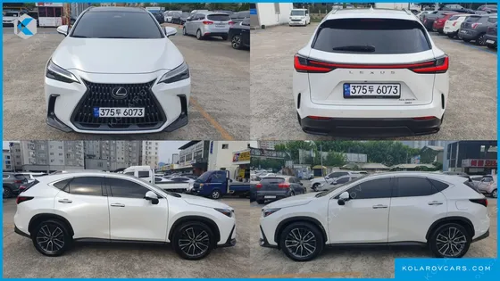 LEXUS NX LUXURY