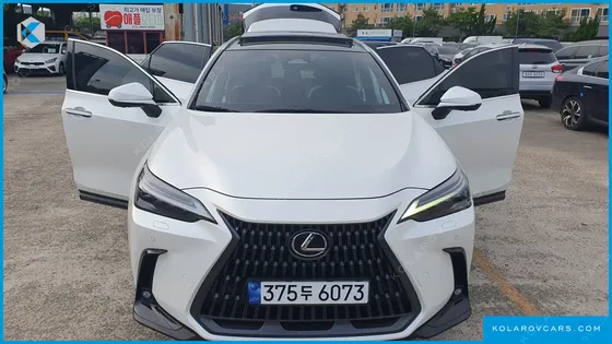 LEXUS NX LUXURY