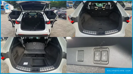 LEXUS NX LUXURY