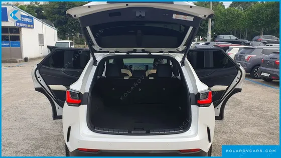 LEXUS NX LUXURY