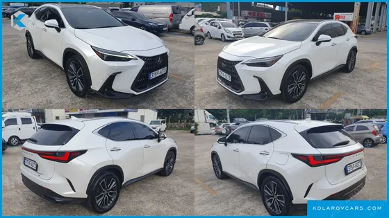 LEXUS NX LUXURY