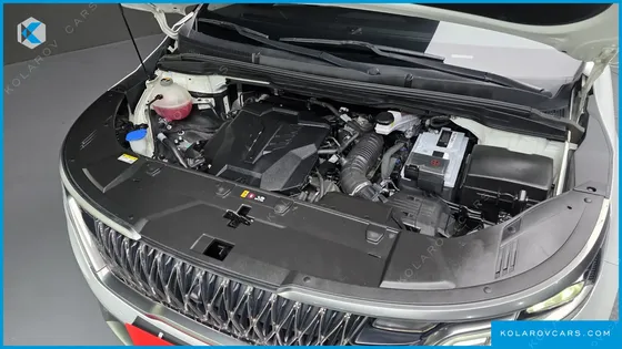 KIA CARNIVAL GASOLINE 7-SEATER SIGNATURE