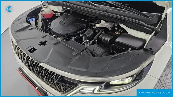 KIA CARNIVAL 9-SEATER SIGNATURE