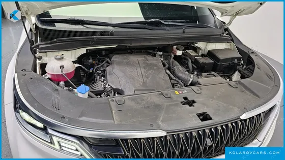KIA CARNIVAL GASOLINE 9-SEATER HI-LIMOUSINE