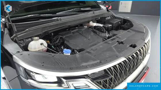 KIA CARNIVAL GASOLINE 9-SEATER HI-LIMOUSINE