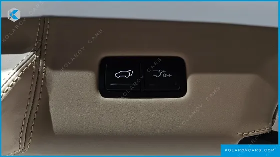KIA CARNIVAL GASOLINE 9-SEATER HI LIMOUSINE (7-SEATER LIMOUSINE(SPECIAL VEHICLE)