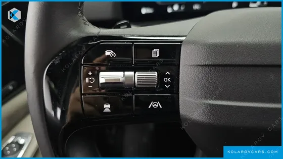 KIA CARNIVAL GASOLINE 9 SEATER X LINE