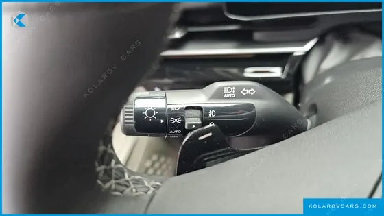 KIA CARNIVAL GASOLINE 9 SEATER X LINE