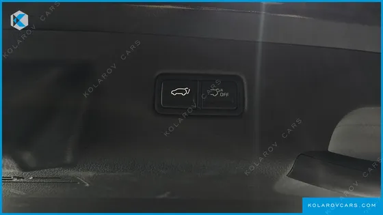 KIA CARNIVAL GASOLINE 9 SEATER X LINE