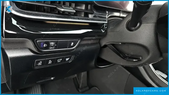 KIA CARNIVAL GASOLINE 9-SEATER HI LIMOUSINE (7-SEATER LIMOUSINE(SPECIAL VEHICLE)