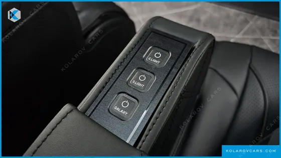 KIA CARNIVAL GASOLINE 9-SEATER HI LIMOUSINE (7-SEATER LIMOUSINE(SPECIAL VEHICLE)