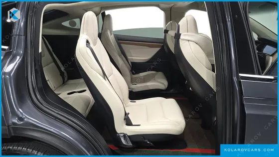 TESLA MODEL X 100D
