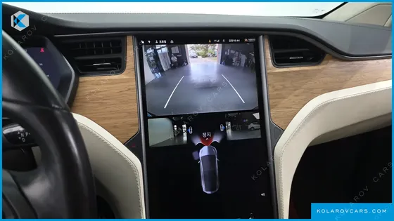 TESLA MODEL X 100D