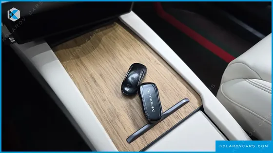 TESLA MODEL X 100D