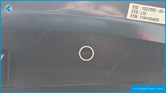 TESLA MODEL X 100D