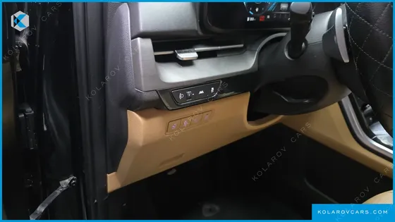 KIA CARNIVAL 9-SEATER NOBLESSE
