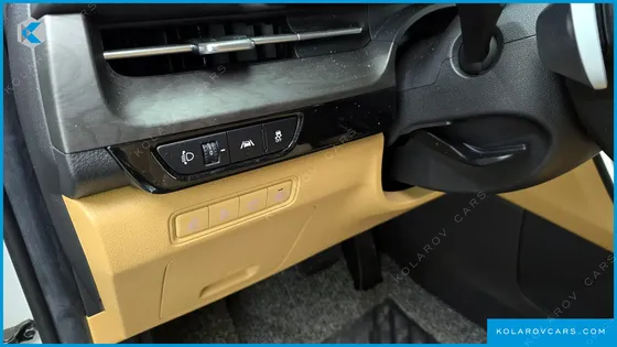 KIA CARNIVAL 9-SEATER SIGNATURE