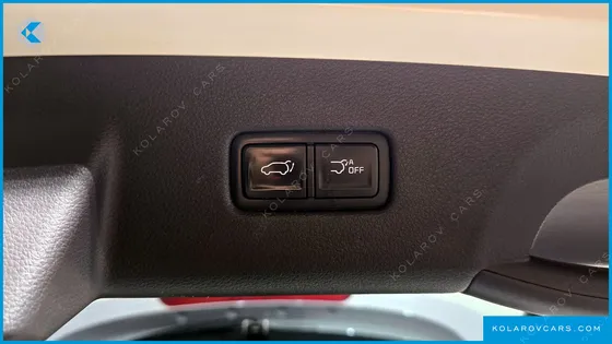 KIA CARNIVAL 9-SEATER SIGNATURE
