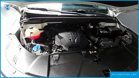 KIA CARNIVAL GASOLINE 9-SEATER HI-LIMOUSINE