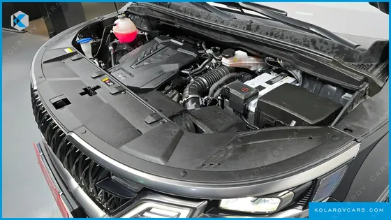 KIA CARNIVAL GASOLINE 9-SEATER SIGNATURE