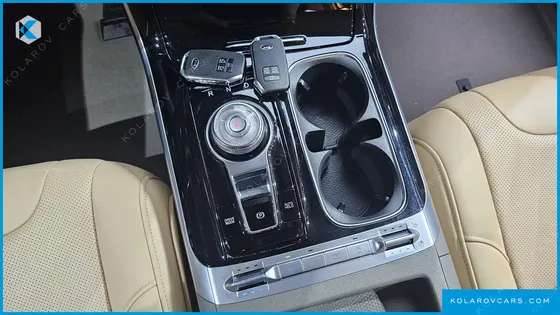 KIA CARNIVAL 9-SEATER HI-LIMOUSINE(SPECIAL VEHICLE)