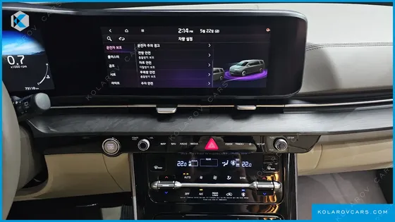 KIA CARNIVAL 9-SEATER HI-LIMOUSINE(SPECIAL VEHICLE)