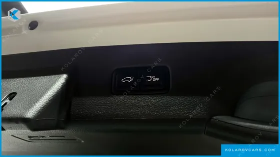 KIA CARNIVAL 9-SEATER SIGNATURE