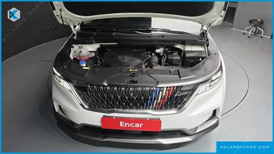 KIA CARNIVAL 9-SEATER SIGNATURE