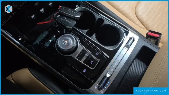 KIA CARNIVAL GASOLINE 9-SEATER LIMOUSINE(SPECIAL VEHICLE)