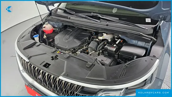 KIA CARNIVAL 11-SEATER NOBLESSE