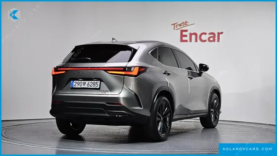 LEXUS NX PREMIUM