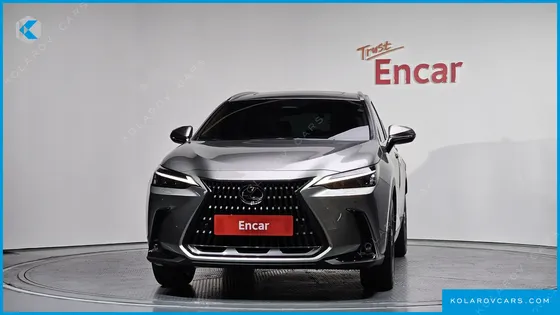 LEXUS NX PREMIUM