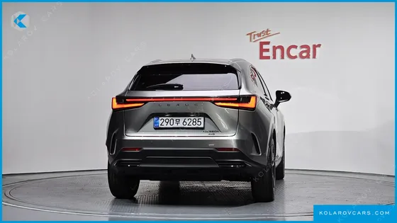 LEXUS NX PREMIUM