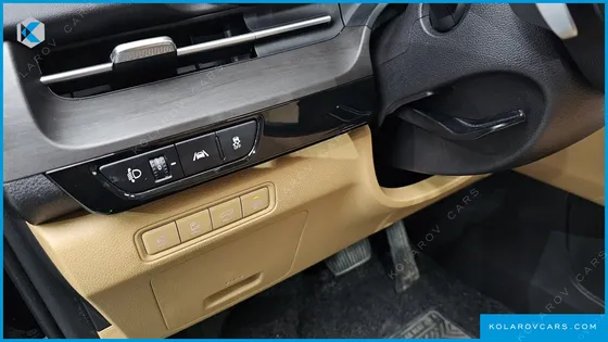 KIA CARNIVAL 9-SEATER SIGNATURE