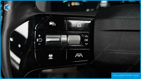 KIA CARNIVAL 9-SEATER GRAVITY