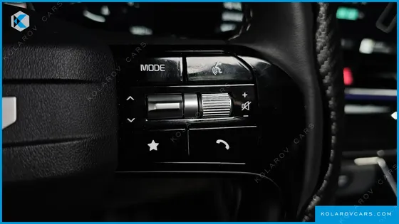 KIA CARNIVAL 9-SEATER GRAVITY