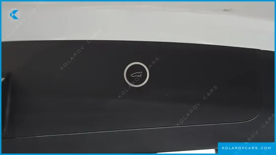 TESLA MODEL X 100D