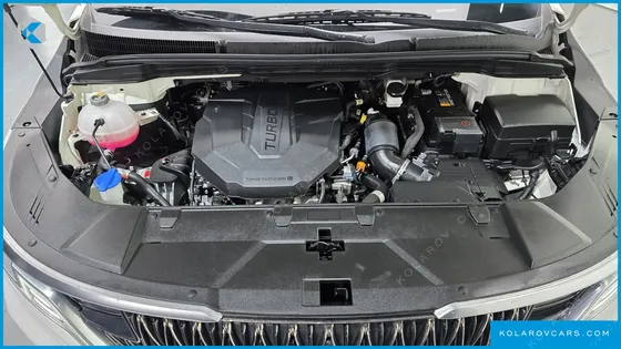 KIA CARNIVAL 9-SEATER SIGNATURE