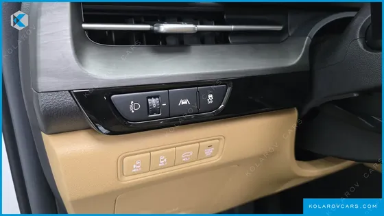 KIA CARNIVAL 9-SEATER SIGNATURE