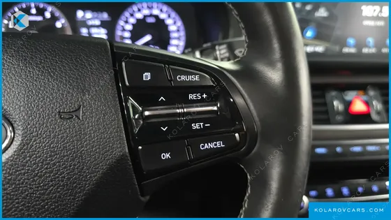 HYUNDAI GRANDEUR 3.0 LPI DSABLED PERSON