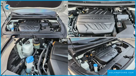 KIA CARNIVAL 7-SEATER LIMOUSINE