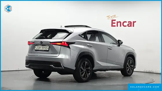 LEXUS NX EXECUTIVE